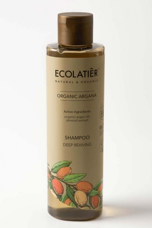 ECL GREEN Shampoo Balsamo 2 in 1 Ripristino Profondo Organic Argana